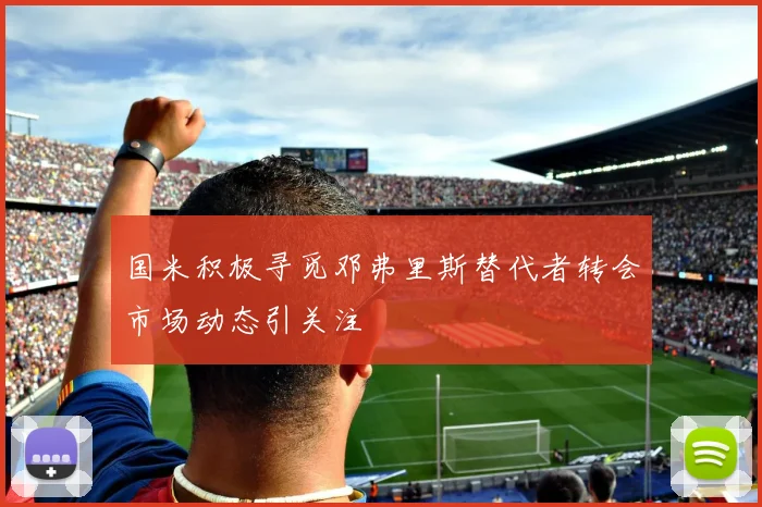 国米积极寻觅邓弗里斯替代者转会市场动态引关注