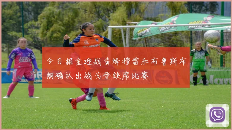 今日掘金迎战黄蜂穆雷和布鲁斯布朗确认出战戈登缺席比赛