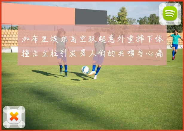 加布里埃尔高空跃起意外重摔下体撞击立柱引发男人们的共鸣与心痛